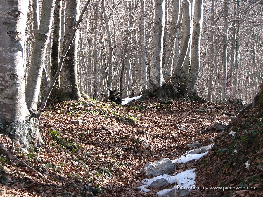 05 Compare la neve.jpg